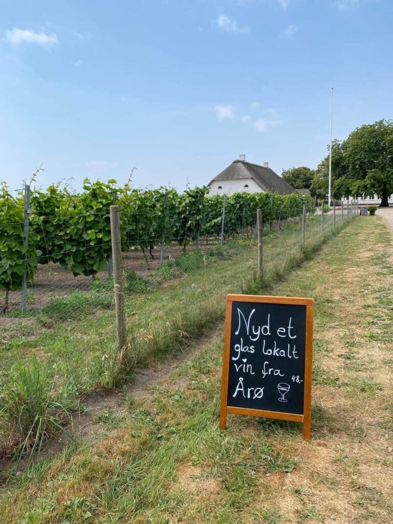 Årø Vingaard wine tasting with DanishWine.com.